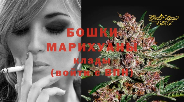 PSILOCYBIN Мегион