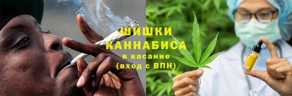 PSILOCYBIN Мегион
