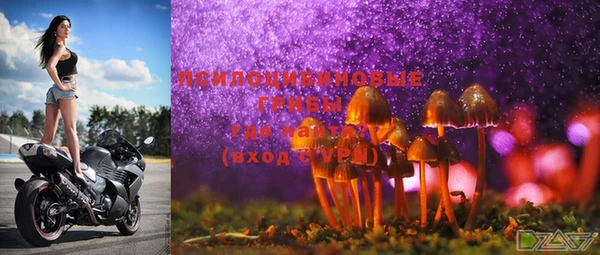 a pvp Медвежьегорск