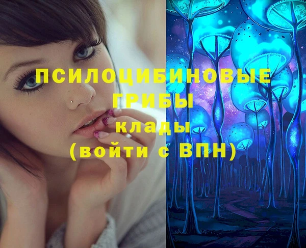 PSILOCYBIN Мегион