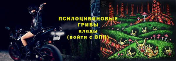 PSILOCYBIN Мегион